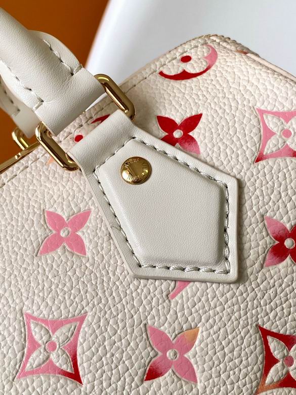 Louis Vuitton - bag