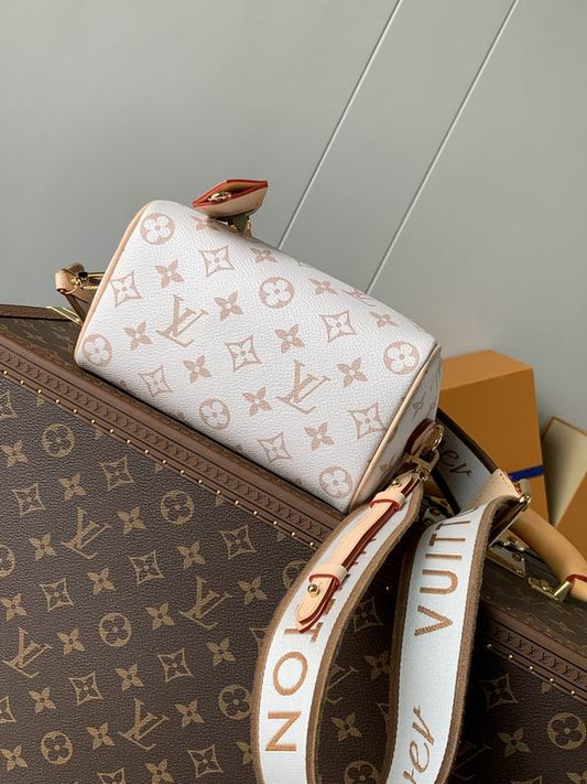 Louis Vuitton - bag