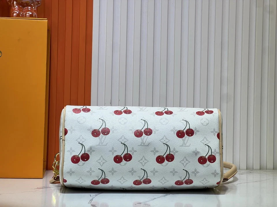 Louis Vuitton - handbag
