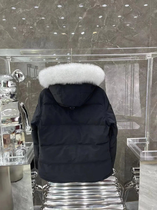 Moose Knuckles - Jacke - Schwarz