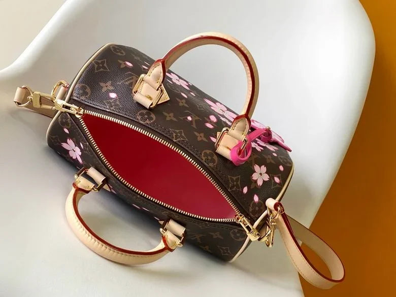 Louis Vuitton - bag