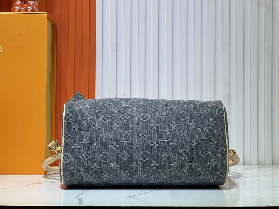 Louis Vuitton - handbag